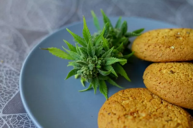 Biscotti cannabis