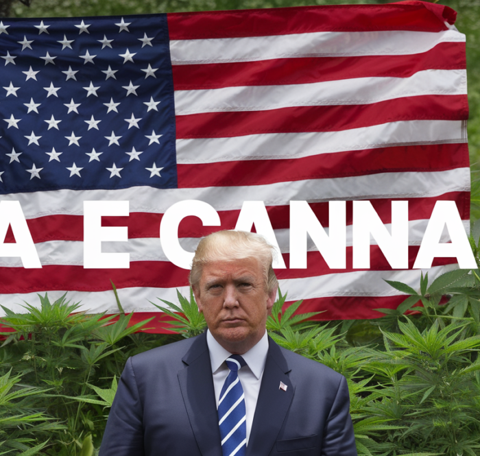 Trump Cannabis