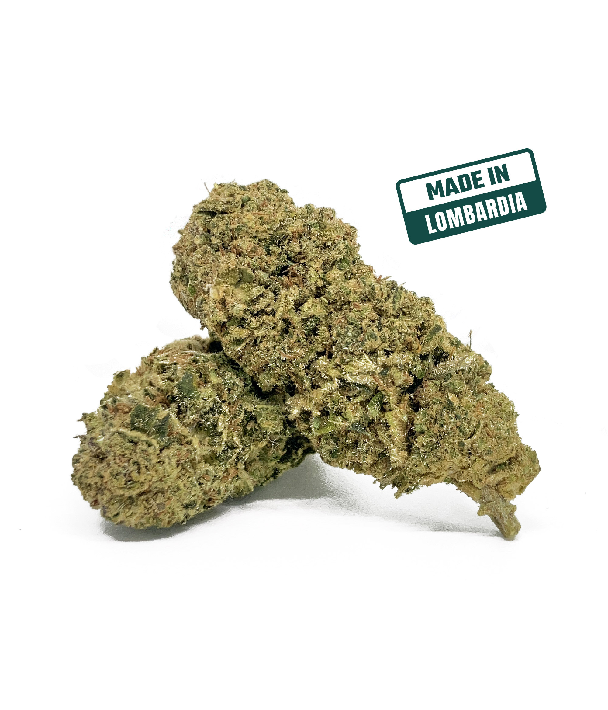 Bubble gum cbd 08 2024