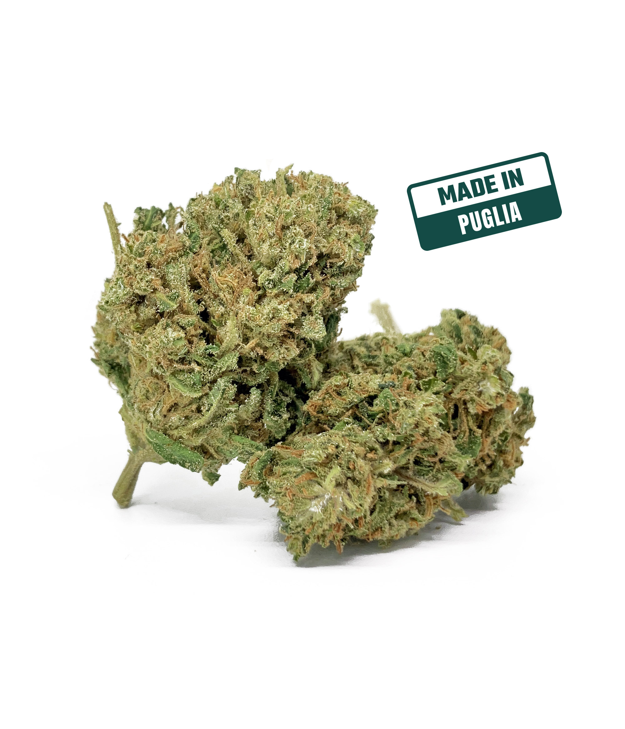 Super skunk cbd 08 2024